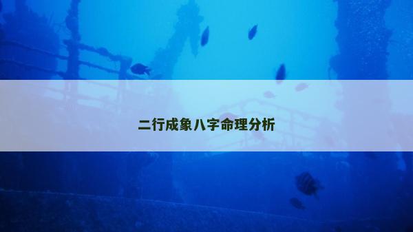 二行成象八字命理分析