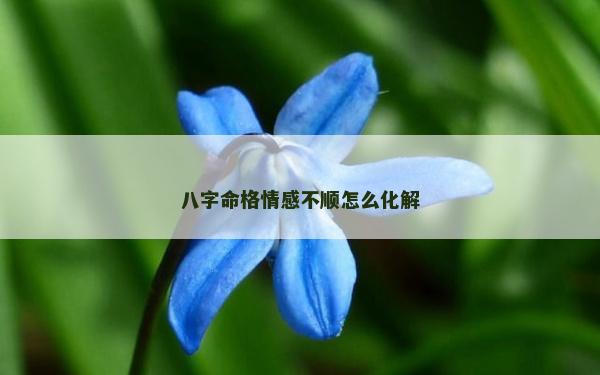 八字命格情感不顺怎么化解