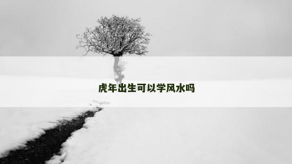 虎年出生可以学风水吗