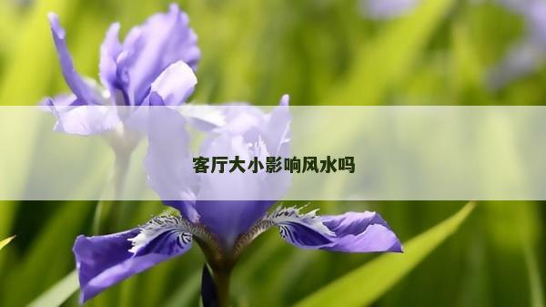 客厅大小影响风水吗