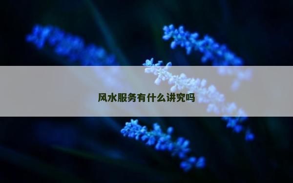 风水服务有什么讲究吗