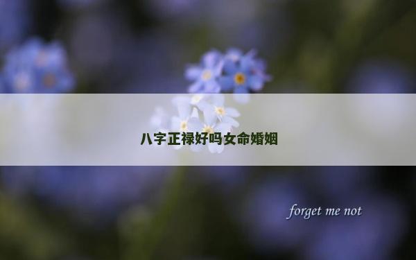 八字正禄好吗女命婚姻