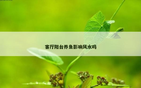 客厅阳台养鱼影响风水吗