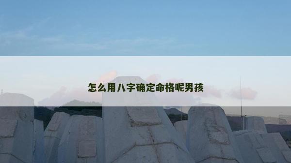 怎么用八字确定命格呢男孩