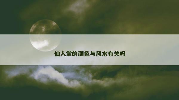 仙人掌的颜色与风水有关吗