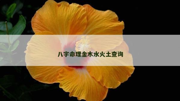 八字命理金木水火土查询