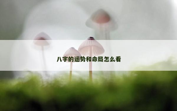 八字的运势和命局怎么看
