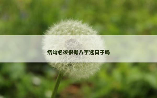 结婚必须根据八字选日子吗