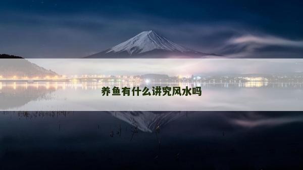 养鱼有什么讲究风水吗