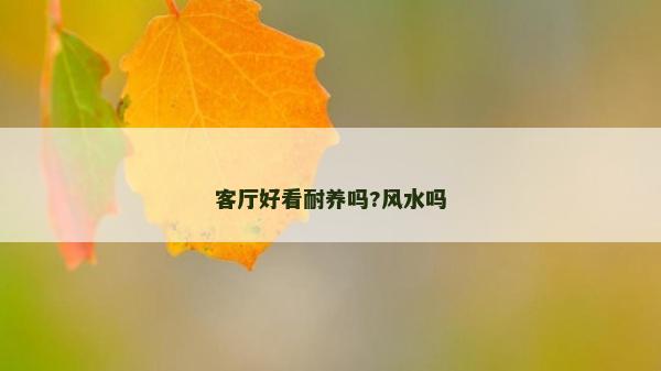 客厅好看耐养吗?风水吗