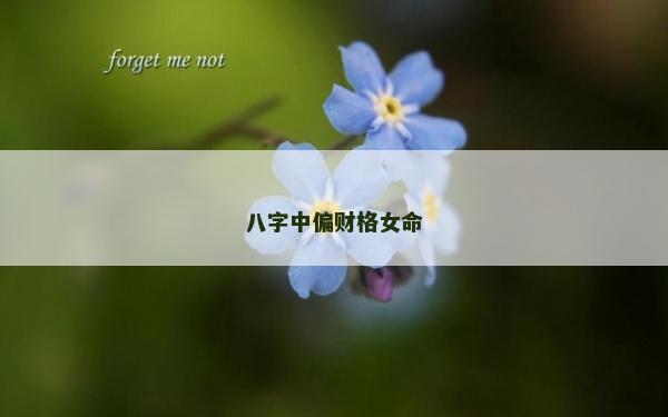 八字中偏财格女命