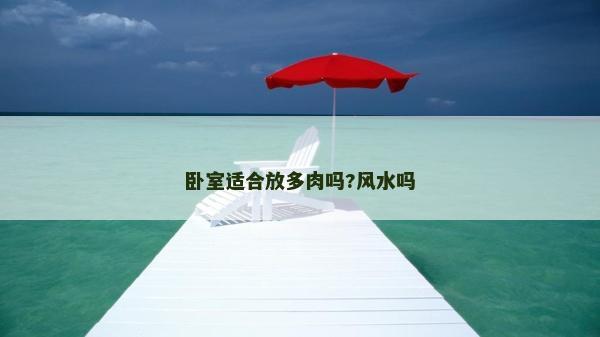 卧室适合放多肉吗?风水吗