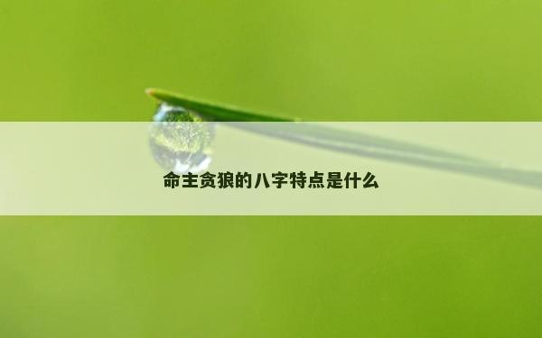 命主贪狼的八字特点是什么