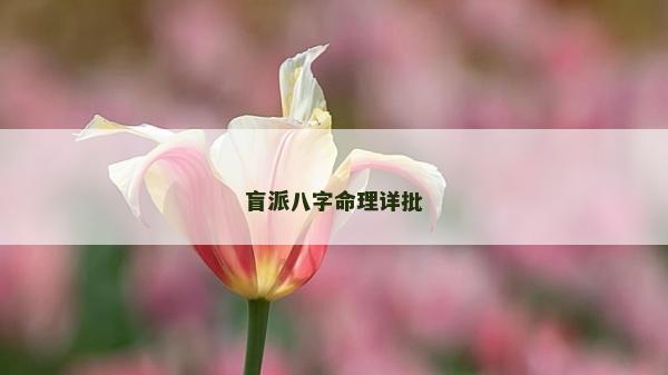 盲派八字命理详批