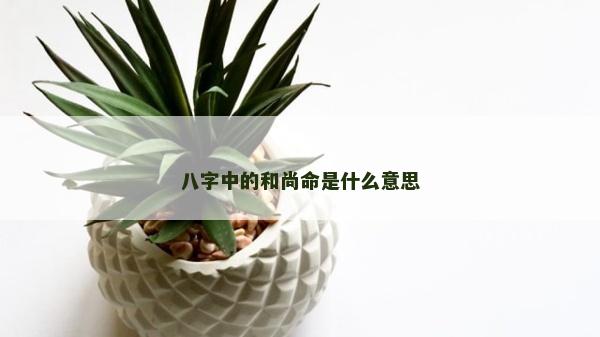 八字中的和尚命是什么意思