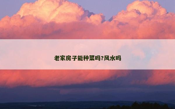老家房子能种菜吗?风水吗