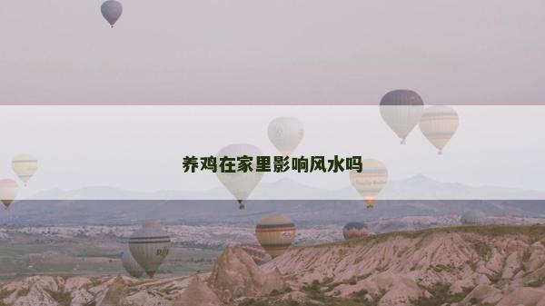 养鸡在家里影响风水吗