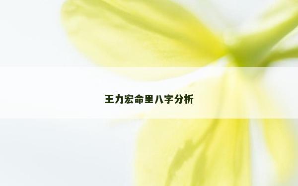 王力宏命里八字分析