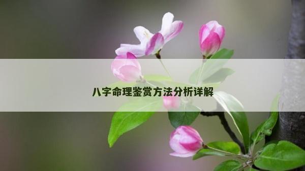 八字命理鉴赏方法分析详解