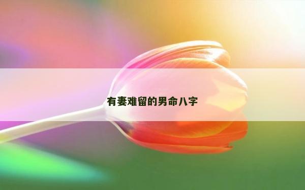 有妻难留的男命八字