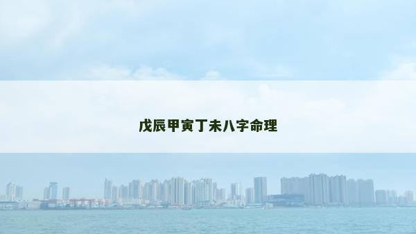 戊辰甲寅丁未八字命理