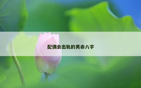 配偶会出轨的男命八字