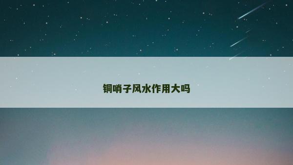 铜哨子风水作用大吗