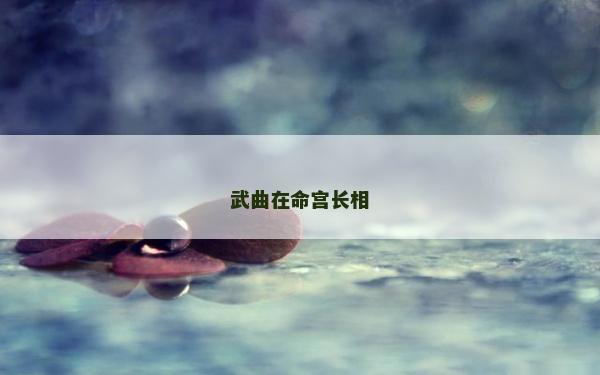 武曲在命宫长相