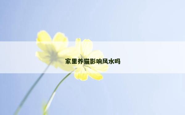 家里养猫影响风水吗