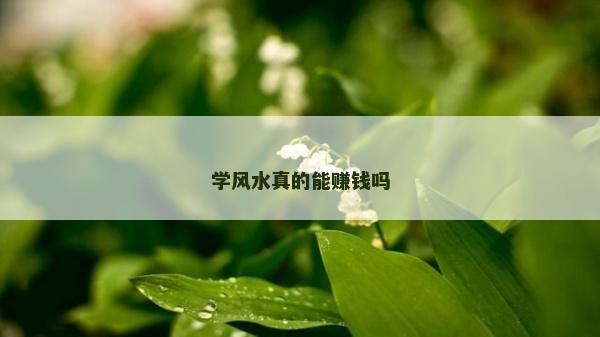 学风水真的能赚钱吗