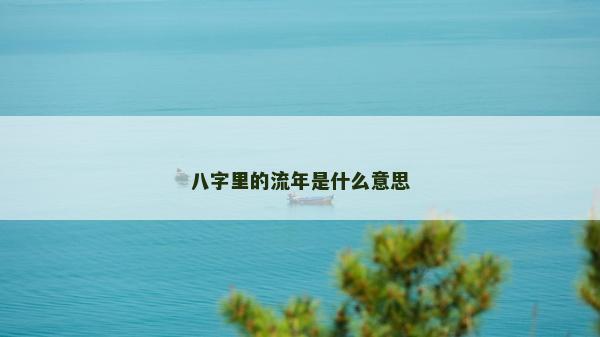 八字里的流年是什么意思