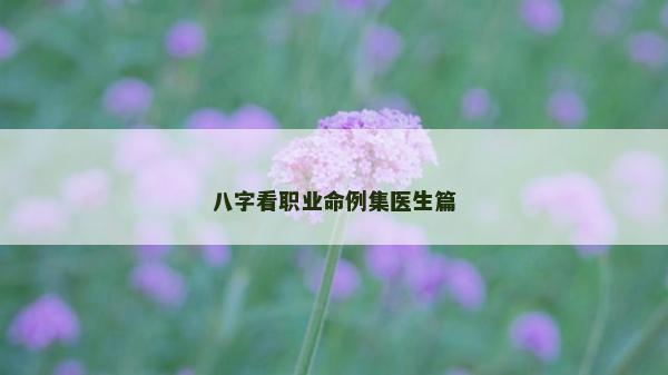 八字看职业命例集医生篇