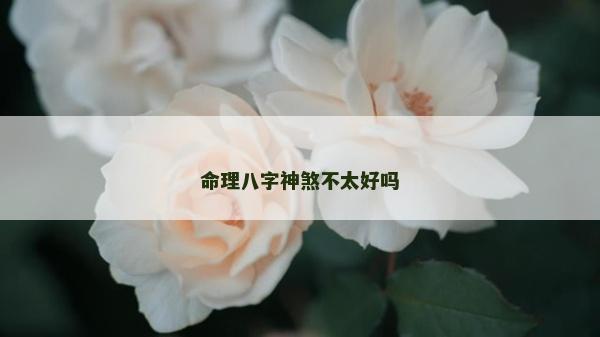 命理八字神煞不太好吗