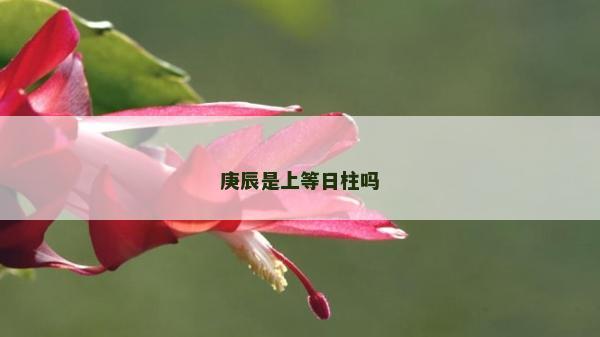 庚辰是上等日柱吗