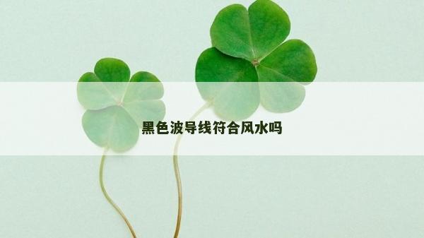黑色波导线符合风水吗