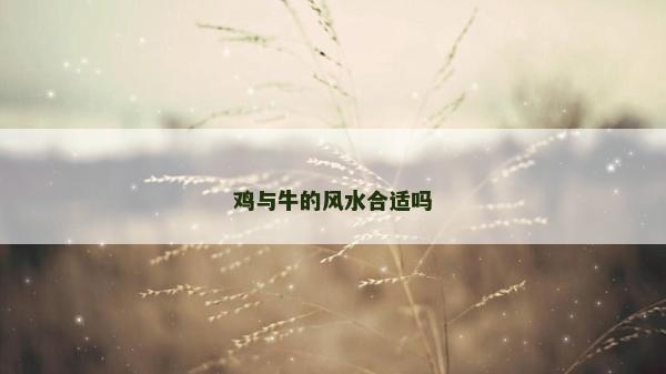 鸡与牛的风水合适吗