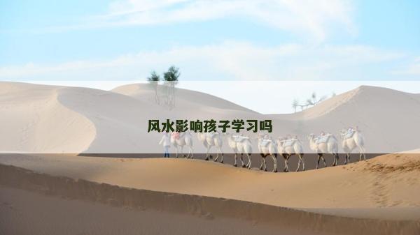 风水影响孩子学习吗