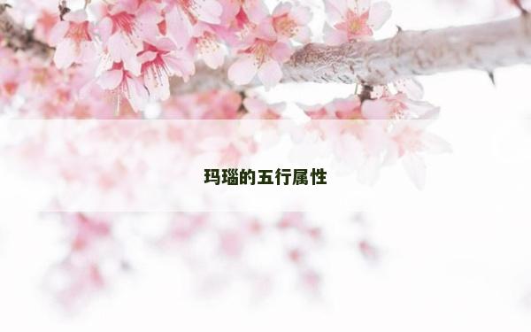 玛瑙的五行属性