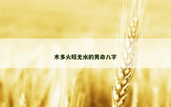 木多火旺无水的男命八字