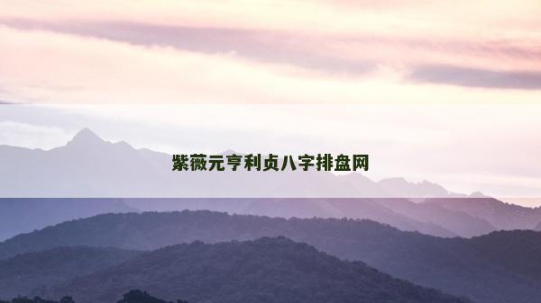 紫薇元亨利贞八字排盘网
