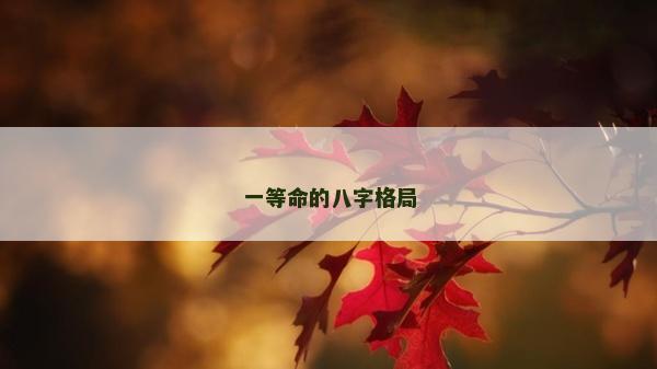一等命的八字格局