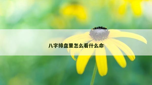 八字排盘里怎么看什么命