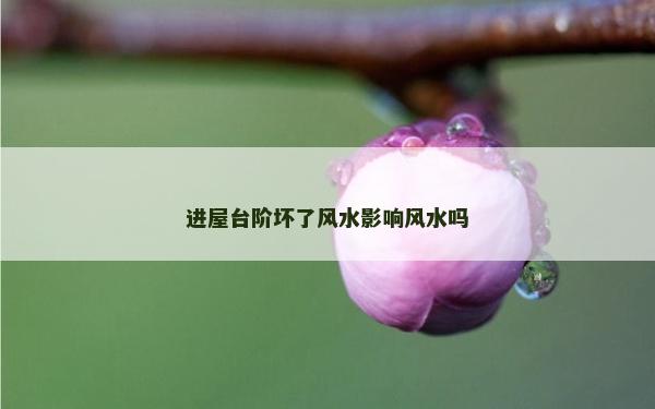 进屋台阶坏了风水影响风水吗