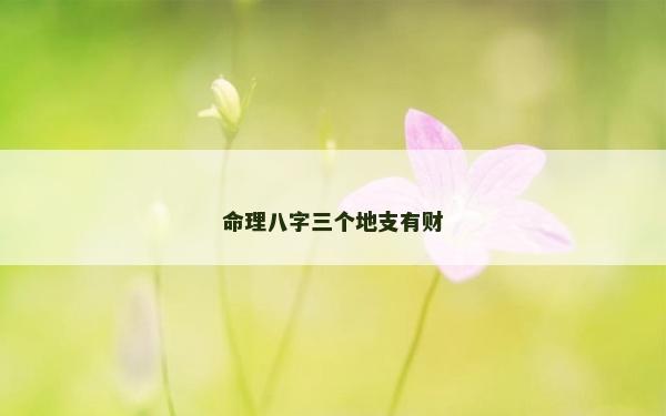 命理八字三个地支有财