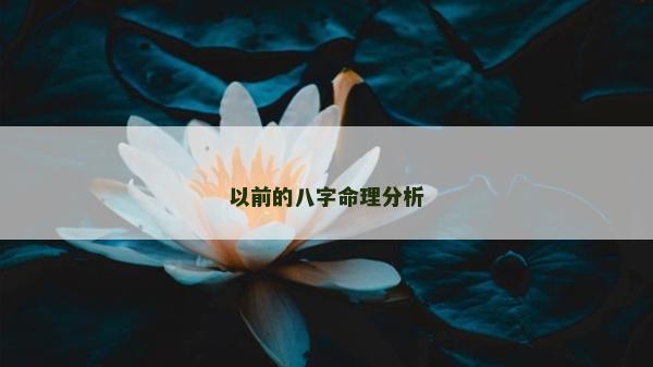 以前的八字命理分析