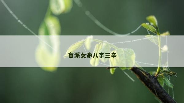 盲派女命八字三辛