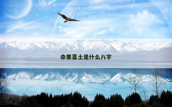 命里喜土是什么八字