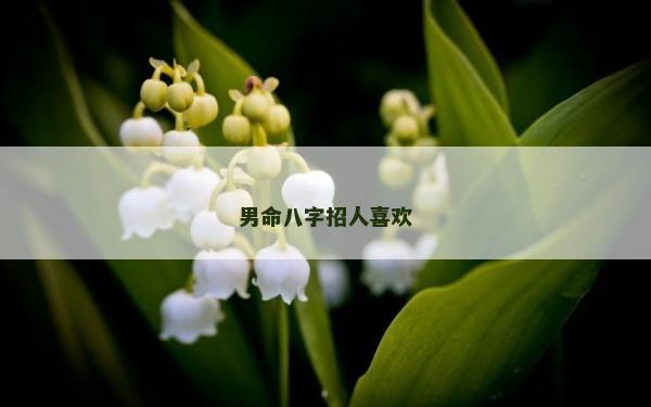 男命八字招人喜欢