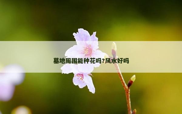 墓地周围能种花吗?风水好吗