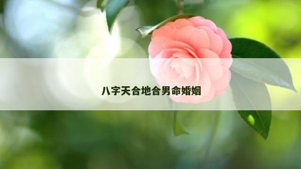 八字天合地合男命婚姻